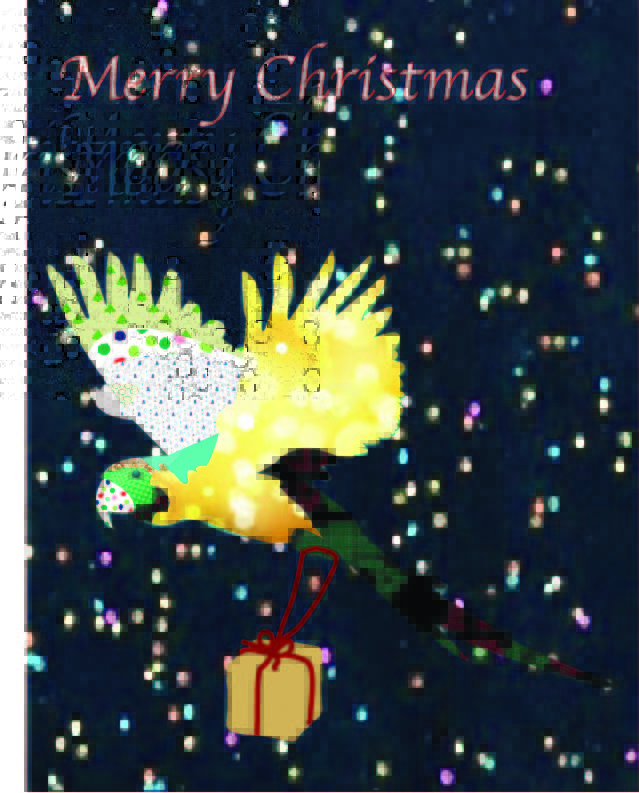 7_phoebemoe_christmasbag